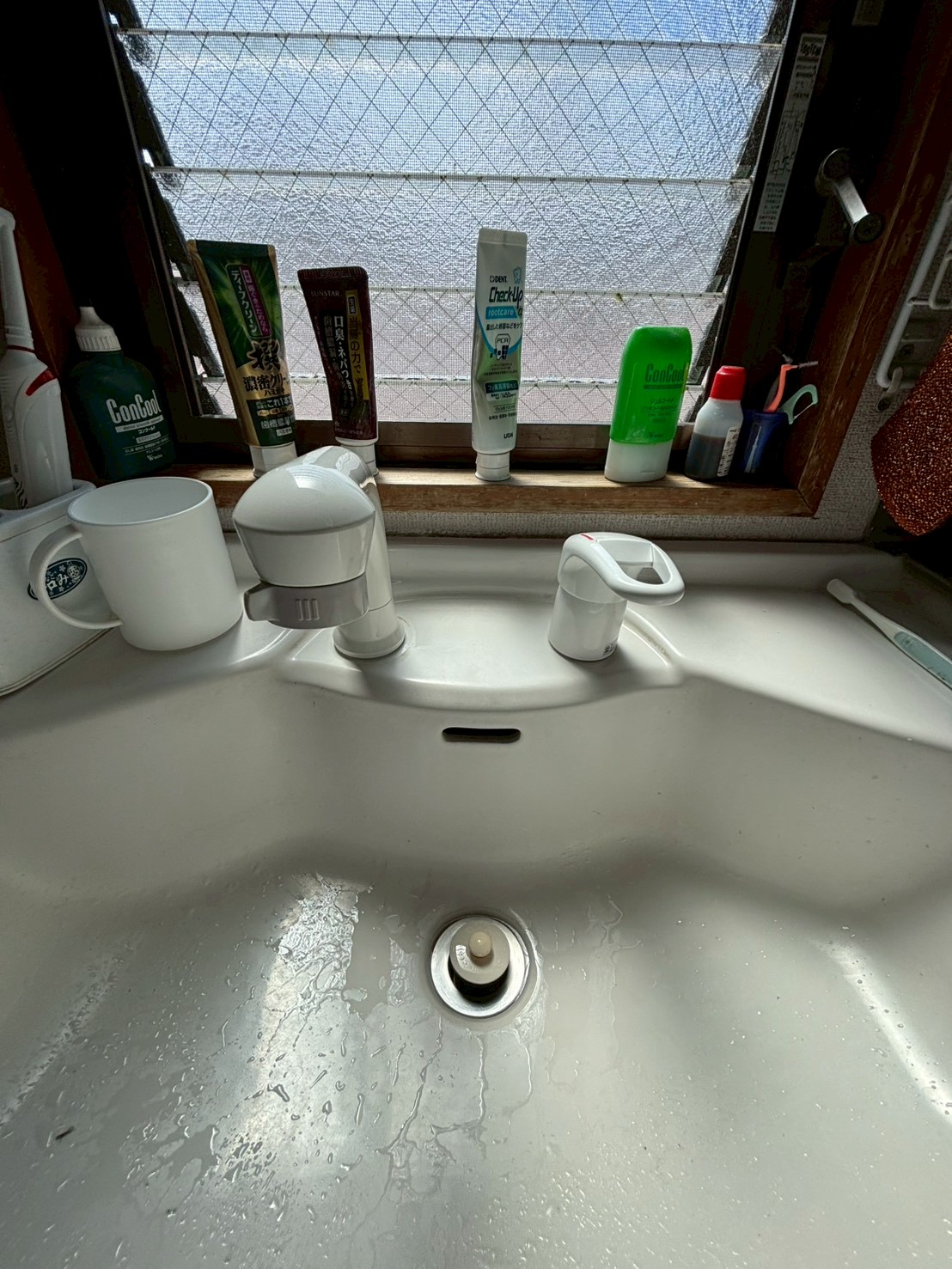 蛇口交換の画像